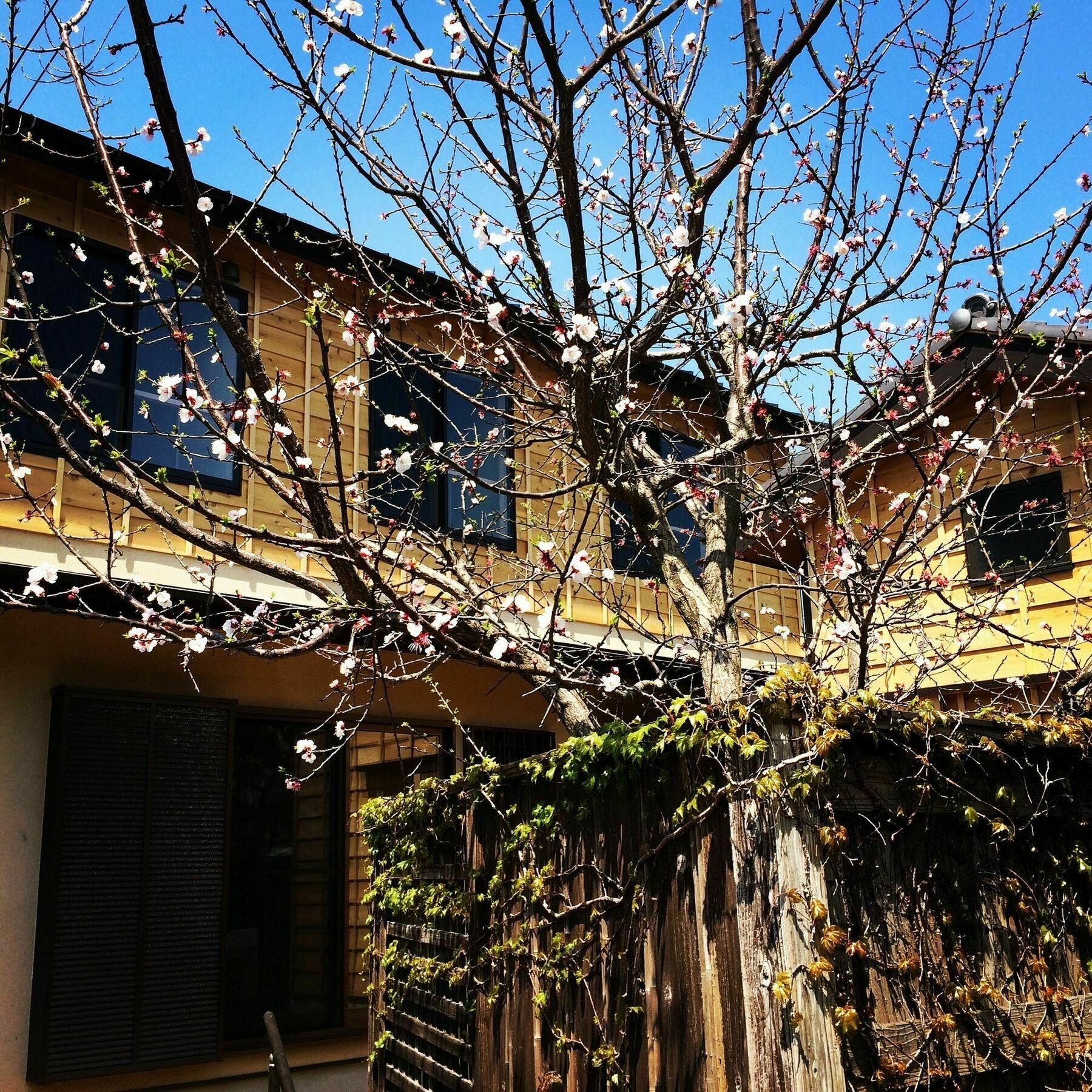 镰仓市 镰仓泽杰旅馆酒店 外观 照片